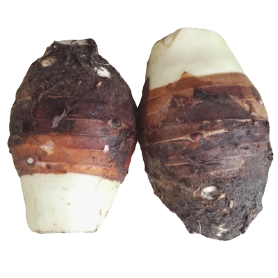 【现挖】正宗广西荔浦当季生鲜