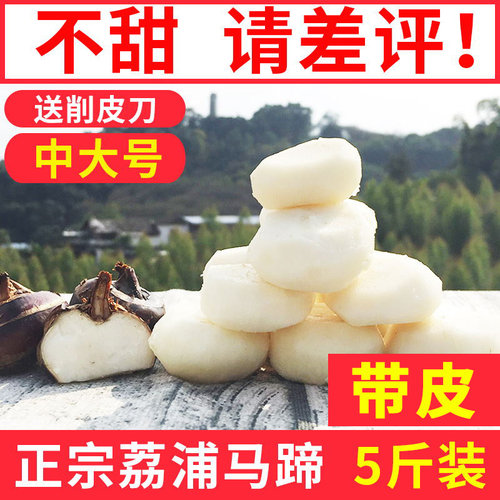 荔浦马蹄新鲜荸荠产地直供