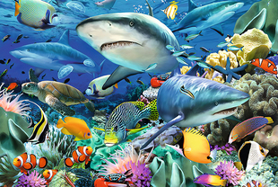 海底世界鱼群木质拼图300 1000片成年人减压大型儿童益智玩具 500