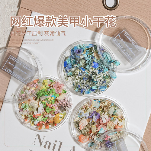 gaoy戈雅日式ins风美甲干花素材迷你碎花指甲饰品diy穿戴甲材料包