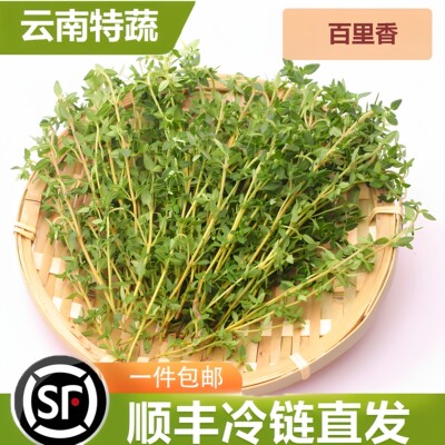摆盘装饰现摘百里调料配料