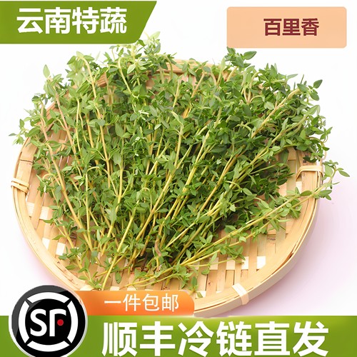 摆盘装饰现摘百里调料配料