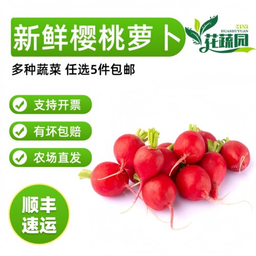 樱桃萝卜新鲜水果萝卜生吃蔬菜沙拉蔬菜新鲜500g水果小红萝卜