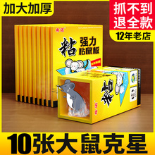 老鼠粘强力粘鼠板大老鼠贴胶板笼夹子沾灭捕鼠神器正品 家用药扑捉