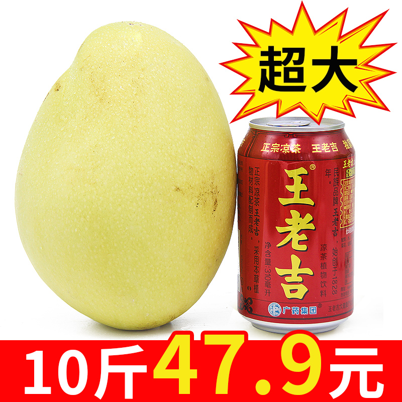 精選果 攀枝花凱特芒大芒果整箱10斤 當季新鮮水果批發包郵