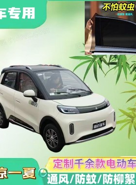 雷迈领驭电动四轮车防蚊网双层防蚊纱窗夏季遮阳网防柳絮窗帘网纱