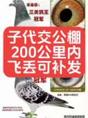 种鸽子信鸽子活体幼鸽特比成绩赛鸽蛋公棚鸽杨阿腾桑杰士詹森一对