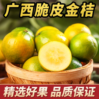 脆皮金桔鲜果水果新鲜大果正宗广西小金桔纯甜蜜金柑融安特产橘子