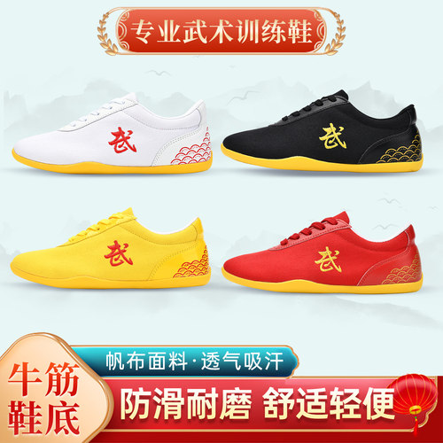 爱武武术鞋轻便透气专业
