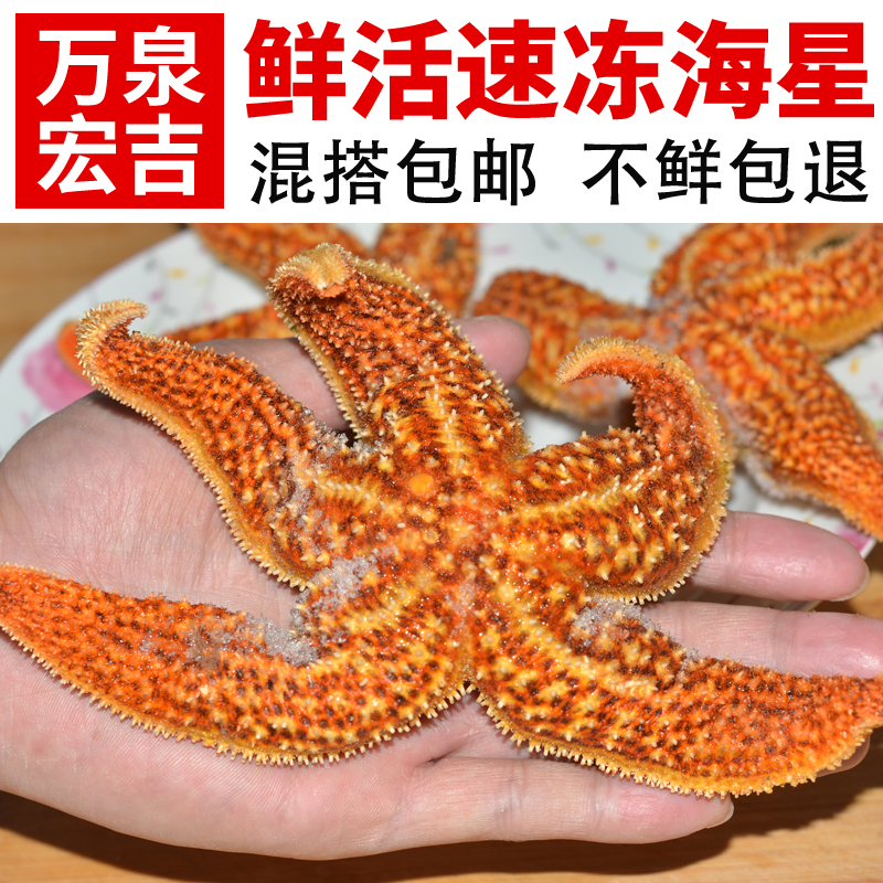 海星海鲜食用野生新鲜海五星满籽熟冻即食海鲜干货250g包邮