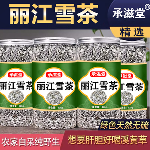 云南丽江雪茶清目润珠木府雪茶白雪毫雪山古茶雪山白露苦甘古藤茶