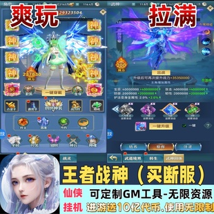 王者战神-买断服竖版仙侠挂机游戏送10亿代币GM后台无限代金道具