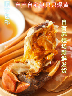 兴化大闸蟹自有养殖场只只曝黄新店低折扣价拍10发12顺丰包邮