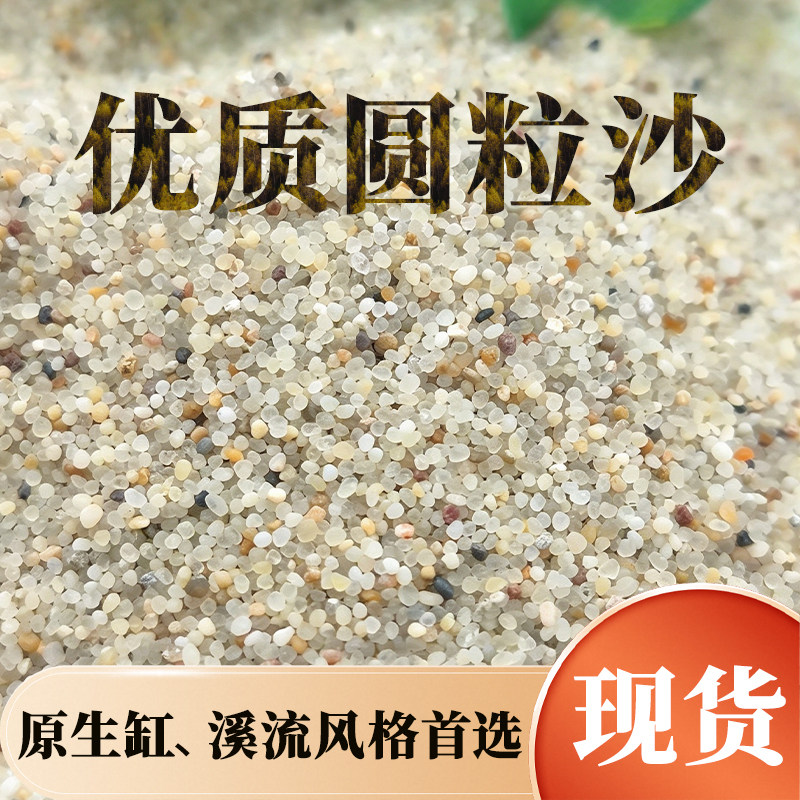 天然圆粒沙免洗河沙多肉铺面鱼缸造景底沙儿童手抓玩沙网红细沙子