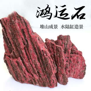 鸿运石天然奇石假山原石室内庭院绿植盆景石鱼缸园艺装饰造景石头