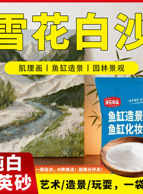 石英砂细沙白色砂子酒店垃圾桶烟灰缸灭烟天然颗粒造景家庭园艺