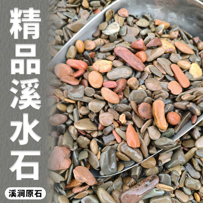 原生缸溪流沙鱼缸造景装饰铺底彩色底砂石乌龟古法缸鳑鲏虾虎河沙