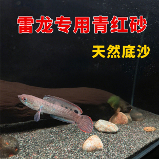 免洗清灰热带雨林沙鱼缸底砂南美雷龙造景青红沙棕黑鼠沙埃及七彩
