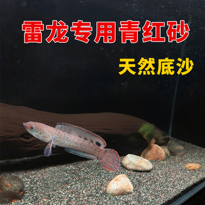 免洗清灰热带雨林沙鱼缸底砂南美雷龙造景青红沙棕黑鼠沙埃及七彩