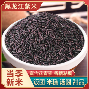 25年永祥龙新紫米紫糯米包粽子农家老品种血糯米非黑米饭团热奶宝