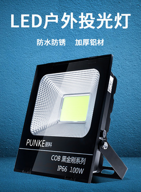 led路灯接电款外墙220V投光灯户外防水照明灯头室外壁灯门口射灯