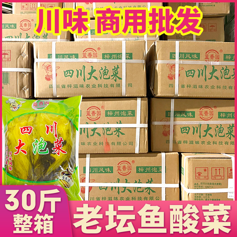 四川大泡菜酸菜商用批发30斤泡青菜酸菜鱼专用酸菜米线批发大袋装