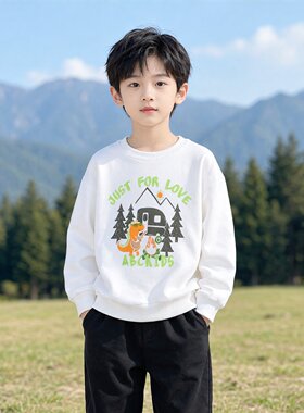 abckids童装春秋季新品男小童商场同款圆领套头卫衣F332205099