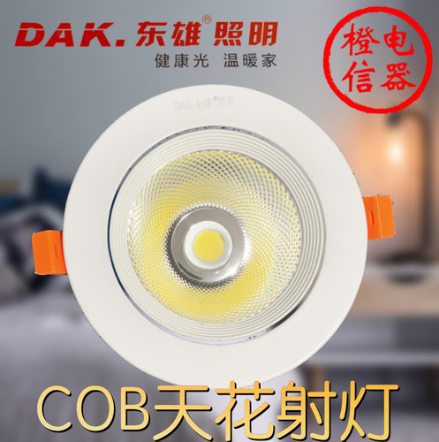 东雄led中性光天花灯