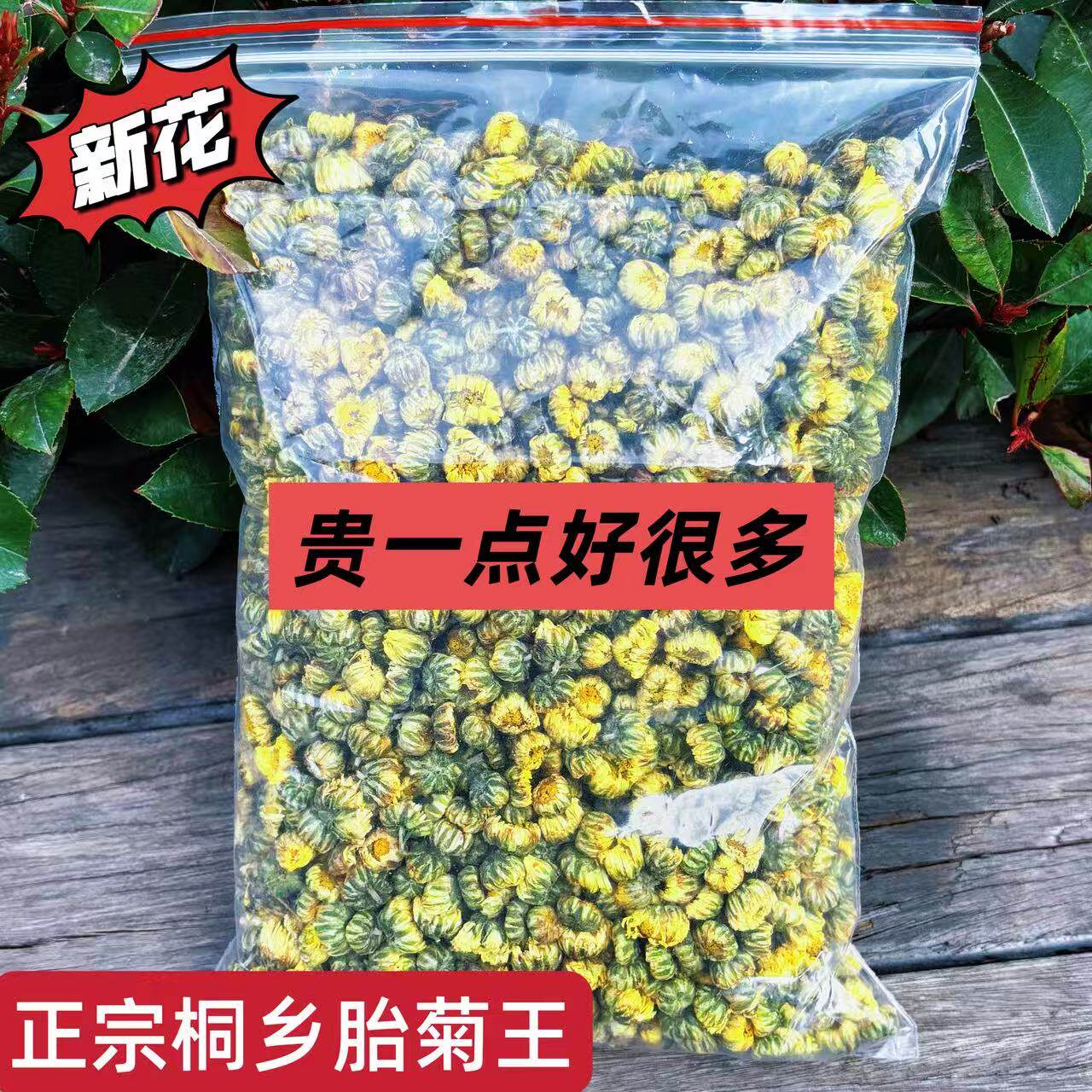 25年新花上市正宗桐乡胎菊杭白菊菊花茶250克袋装清香好喝送礼
