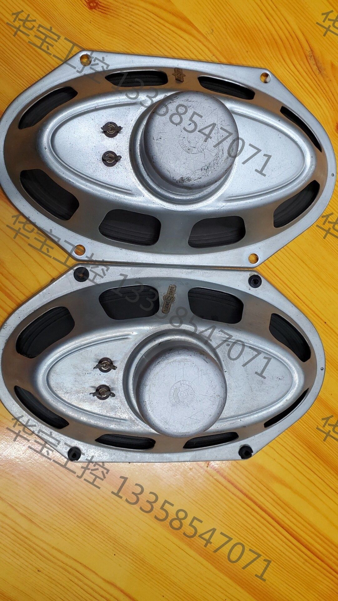 议价 德国雄狮罗意威dew钴磁喇叭6x10寸一对儿