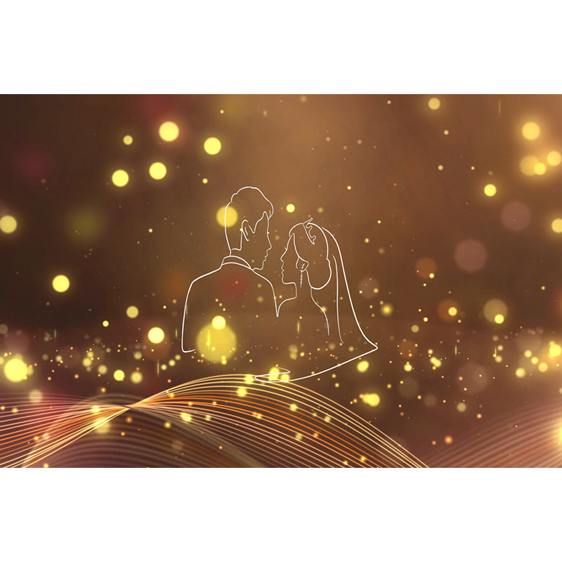 婚礼现场播放背景视频图片素材设计婚礼入场动画浪漫唯美粒子系列