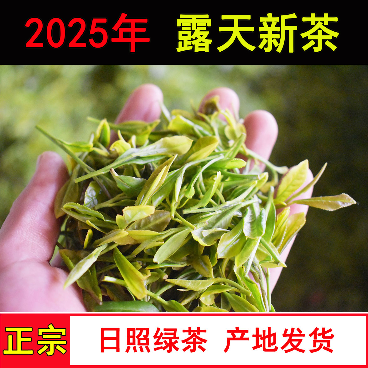 2025新茶高山采摘日照綠茶自己喝