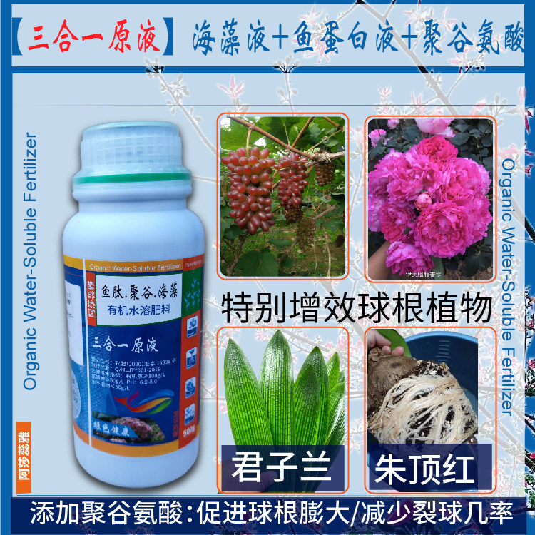 阿莎蕊雅 君子兰 球根加强三合一营养液 鱼蛋白肽 海藻酸聚谷氨酸