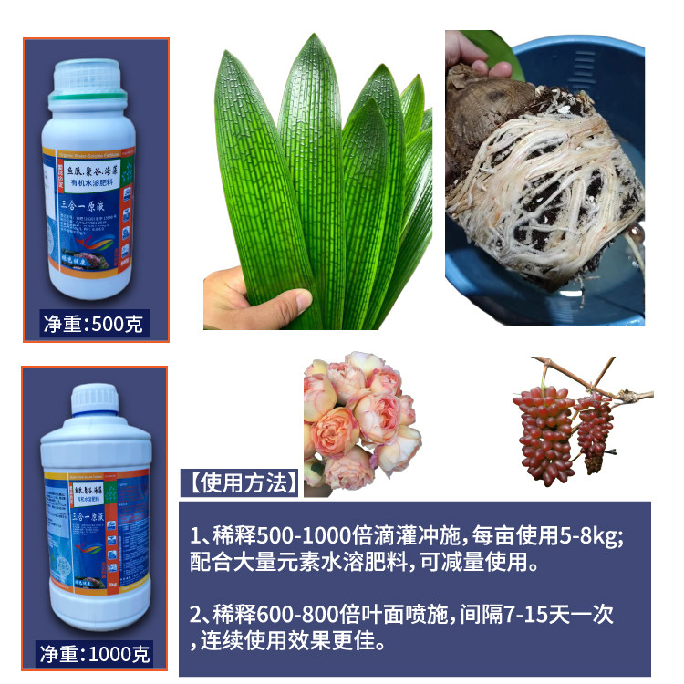 阿莎蕊雅 君子兰 球根加强三合一营养液 鱼蛋白肽 海藻酸聚谷氨酸
