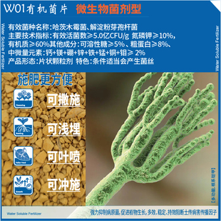 素黄腐酸 蕊雅全营养W01有机肥水溶性哈茨木霉菌剂含氮磷钾微量元