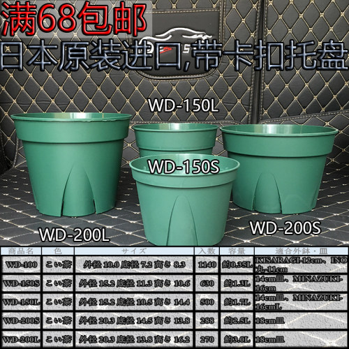 秋田日本进口系列青山包邮控根盆