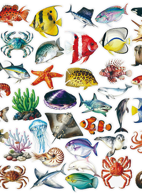 112张海洋生物PET贴纸ins写实风鲨鱼螃蟹贝壳素材diy装饰贴画