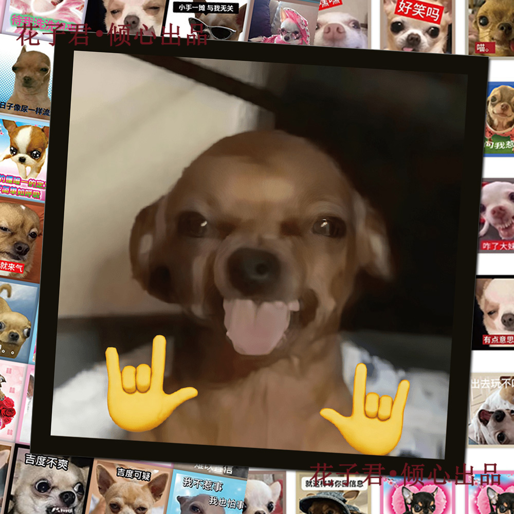 144张抽象恶搞吉娃娃表情包贴纸搞笑沙雕洗袜袜梗图贴画diy桌面