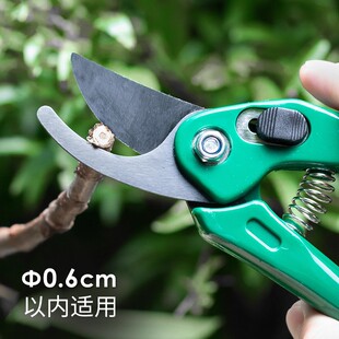 日本ECHO园艺剪刀园林修枝剪果树剪树枝花艺花剪家用盆景花卉剪刀