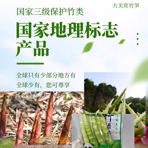竹一无二国家地理标志三级保护竹