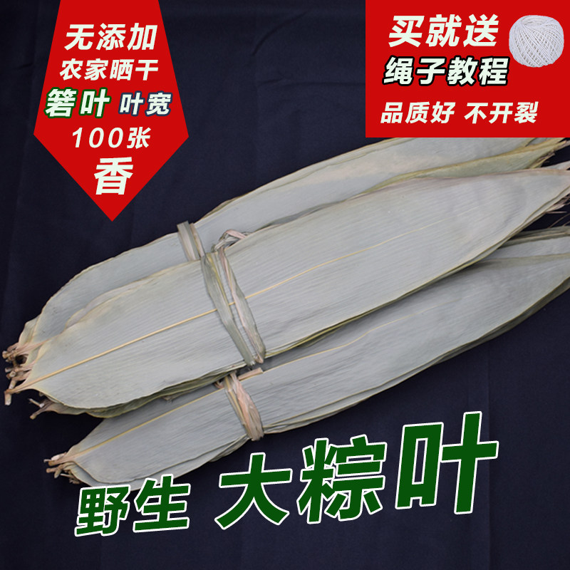 干粽叶包粽子的叶子新鲜纯天然农家大粽叶100张免邮竹棕叶箬叶