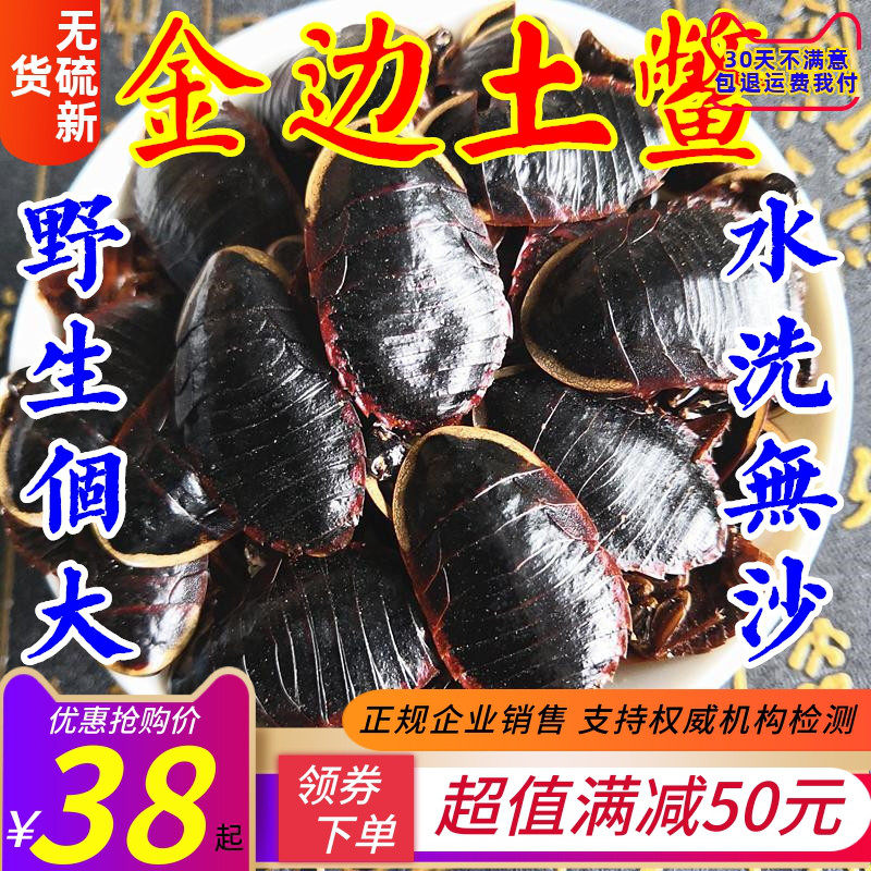 中药材金边土鳖虫 金边土元金边地乌龟 金边地鳖 土元100克包邮