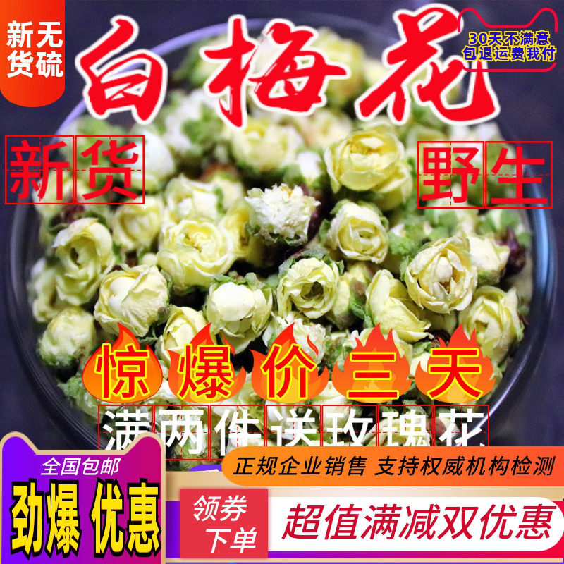 白梅花 50g花苞精选 白梅花 另售绿萼梅 绿鄂梅花 绿梅花 红梅花