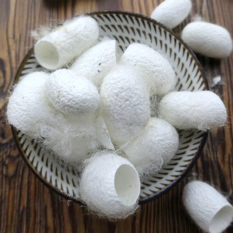 蚕茧中药材新货蚕蛹壳蚕衣茧黄