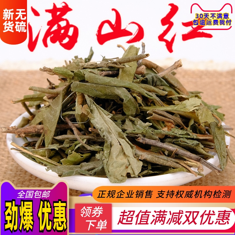 中药材满山红 野东北满山红叶 迎山红 山崩子 靠山红500克包邮