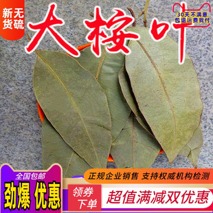 中药材 桉树叶 大桉叶500克大按树叶 大桉树叶 橡树叶蓝绿桉叶