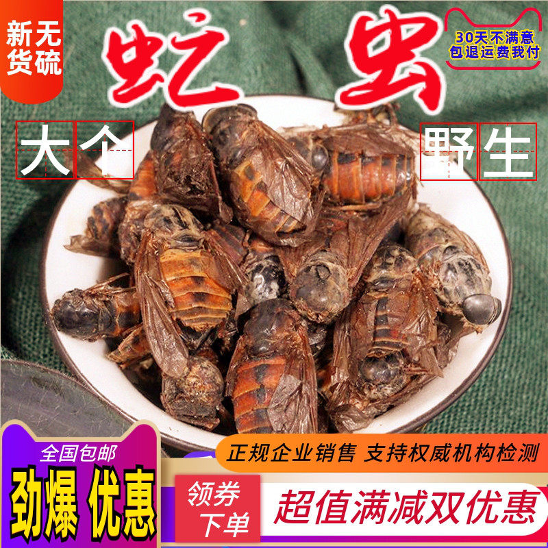 牛虻虫50克包邮 中药材牛苍蝇 牛虻 牛牤虫 牛氓虫 店有五谷虫