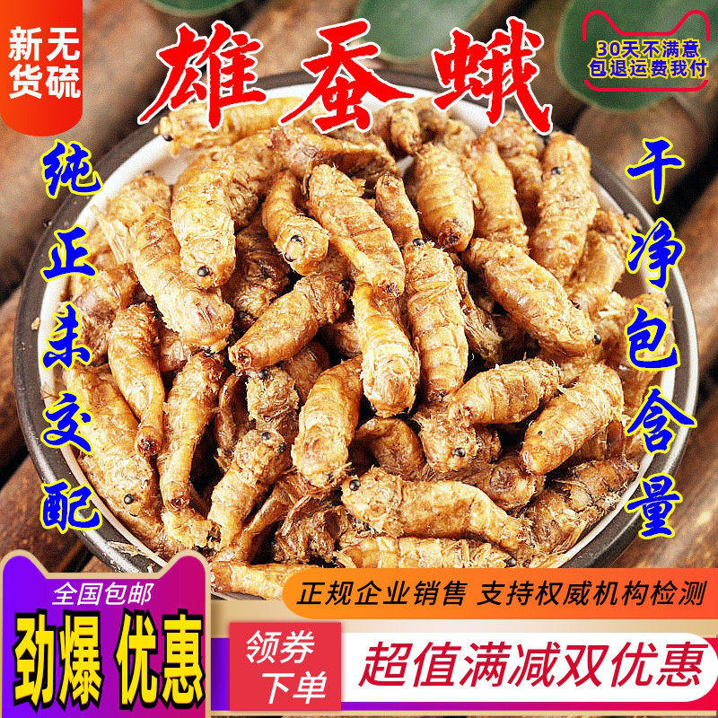 雄蚕蛾250g中药材滋补原蚕蛾纯雄蚕蛾雄蚕蛾粉男滋补养生包邮