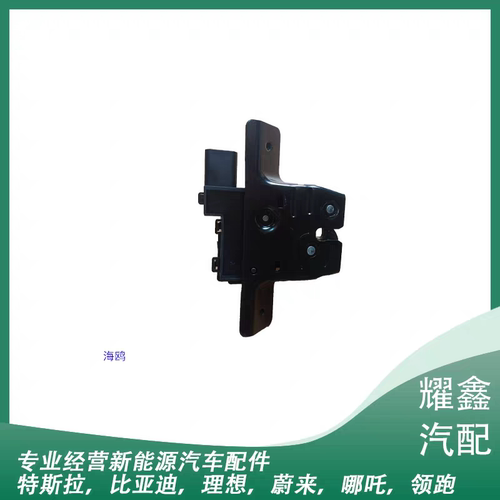 适用于比亚迪海鸥海豚元plus后背门锁体行李箱盖锁体后备箱锁块