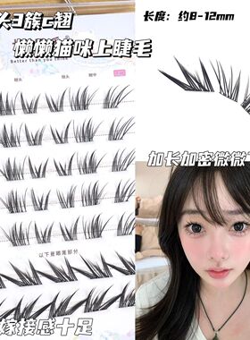 初遇季野生嫁接感!懒懒猫咪拉长眼尾免胶水假睫毛纯欲浓密上镜睫